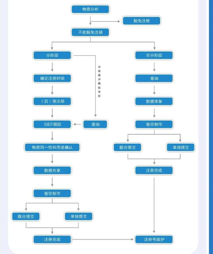 REACH认证注册流程图