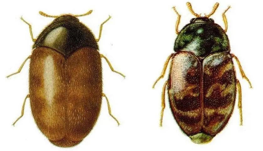 hy590海洋之神检测中心(Macau)股份有限公司-Official website