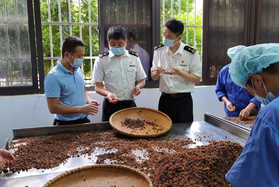 中药材出口必要解决什么手续