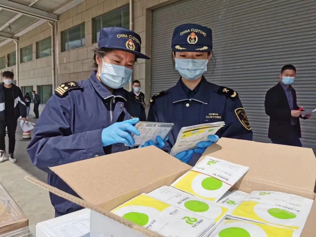 种子进口手续解决