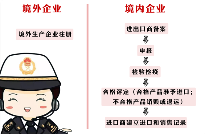 蘑菇进口通过流程