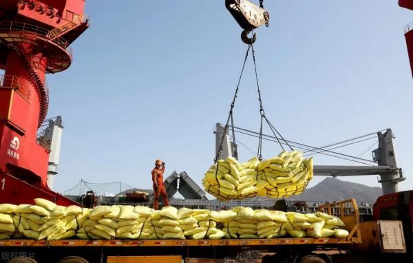 海关若何监管进口矿产品中的有害元素