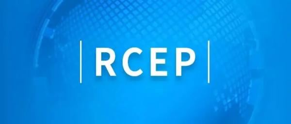 RCEP知识产权；び敕缦辗辣