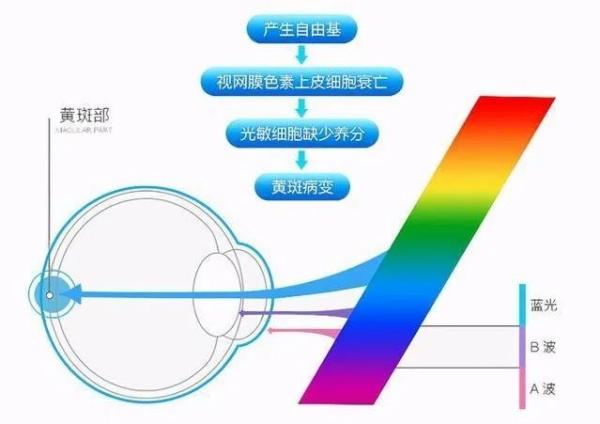 进口台灯认证及规范要求有哪些