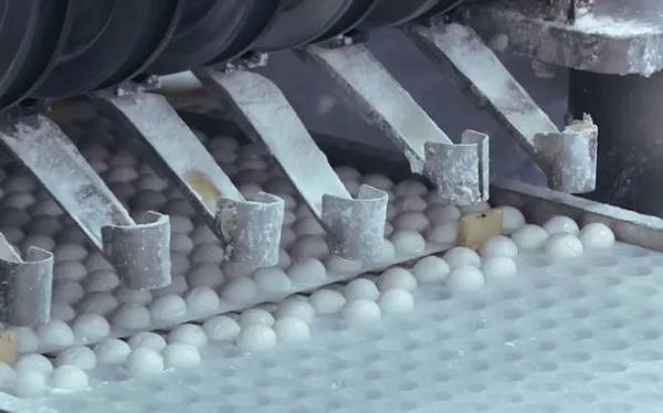 出口元宵企业所需资质及具体解决流程