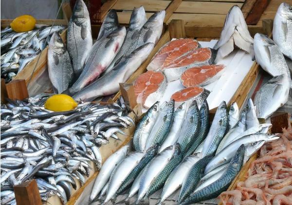 进口坦桑尼亚水产品所需资质及运输包装要求