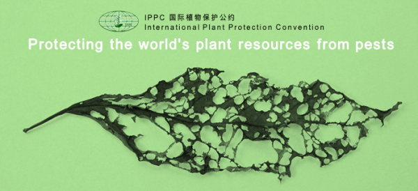 荷兰订正进口植物检疫证书要求