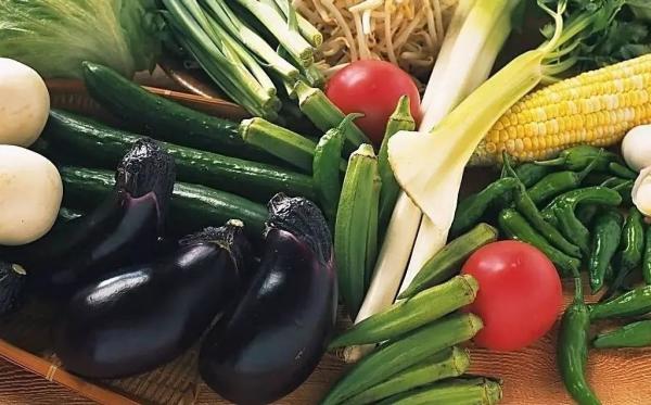 荷兰订正进口植物检疫证书要求