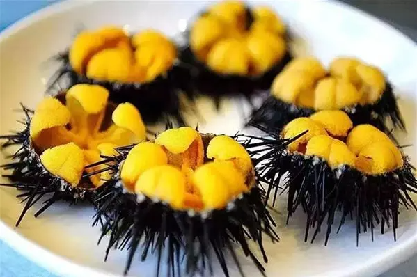 食品出口日本有什么最新要求和尺度？