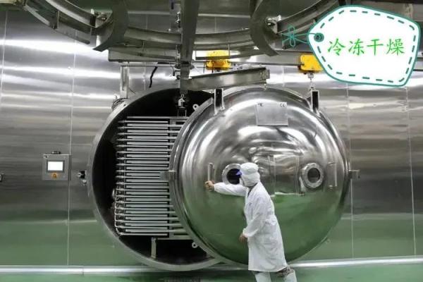 脱水蔬菜出口必要什么资质？（附具体解决流程）