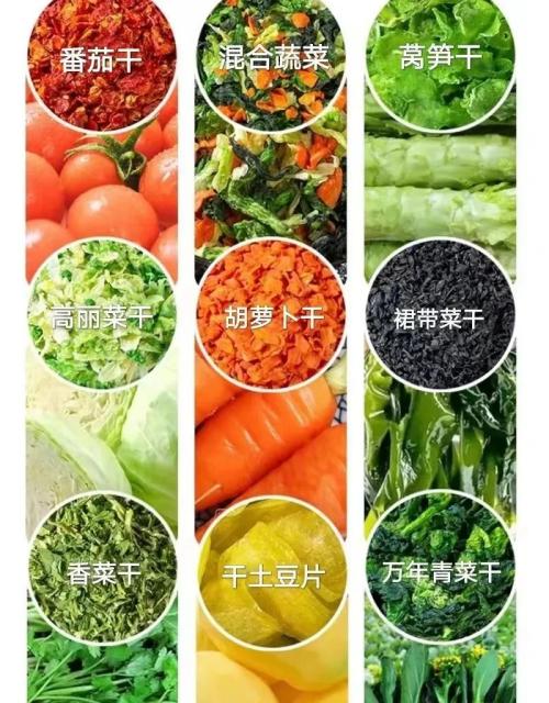 脱水蔬菜出口必要什么资质？（附具体解决流程）