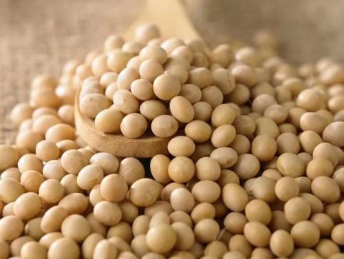 2023规范申报目录有什么必要把稳的事项？