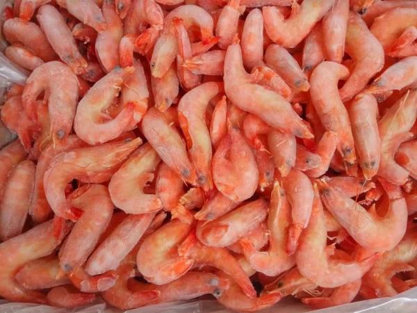 出口澳大利亚虾必要什么资质？若何解决?