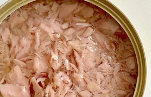  美国拟订正金枪鱼罐头尺度